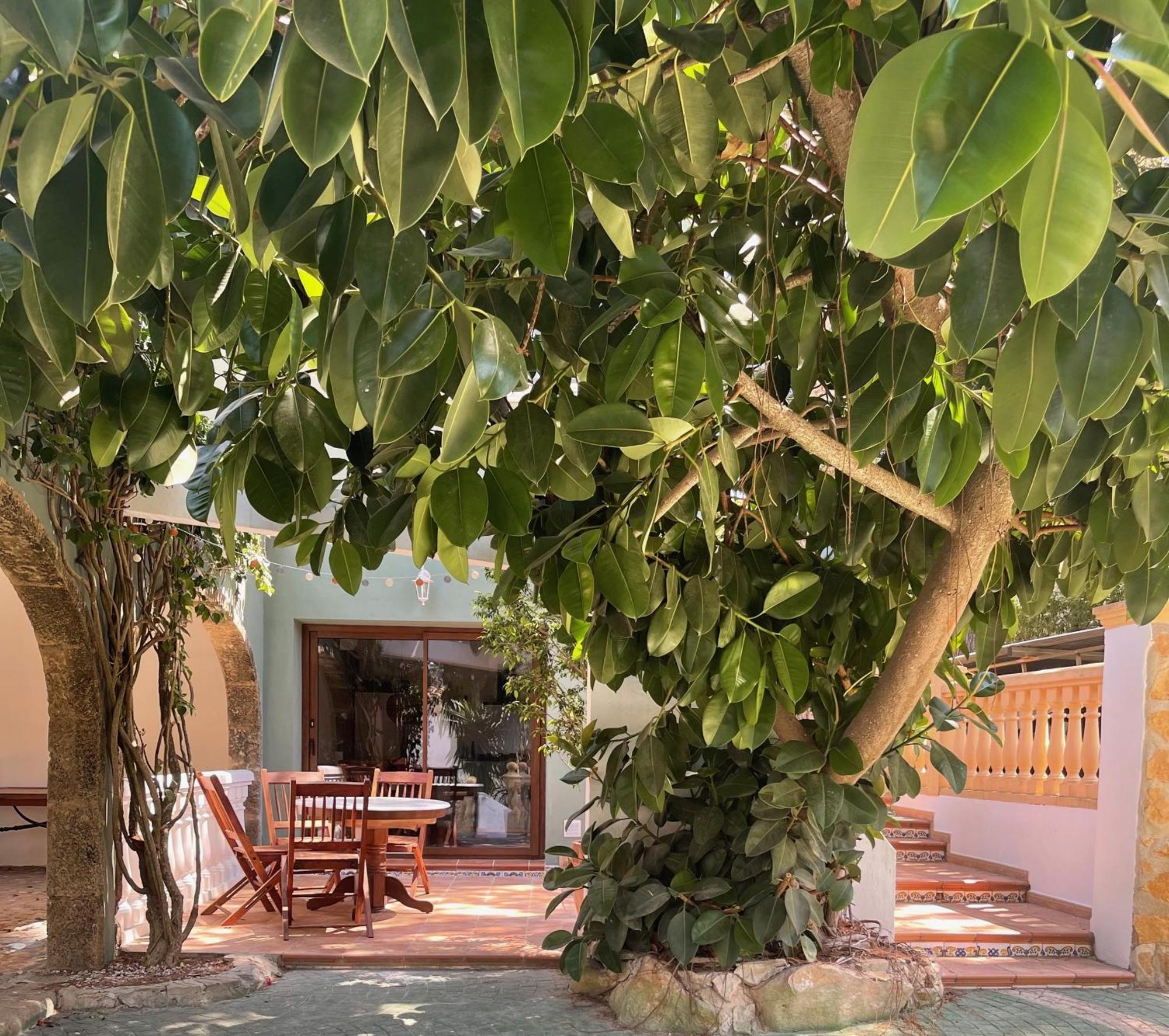 La Posada Paradiso Javea Exterior photo